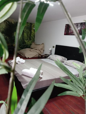 GreenLoft a Trastevere
